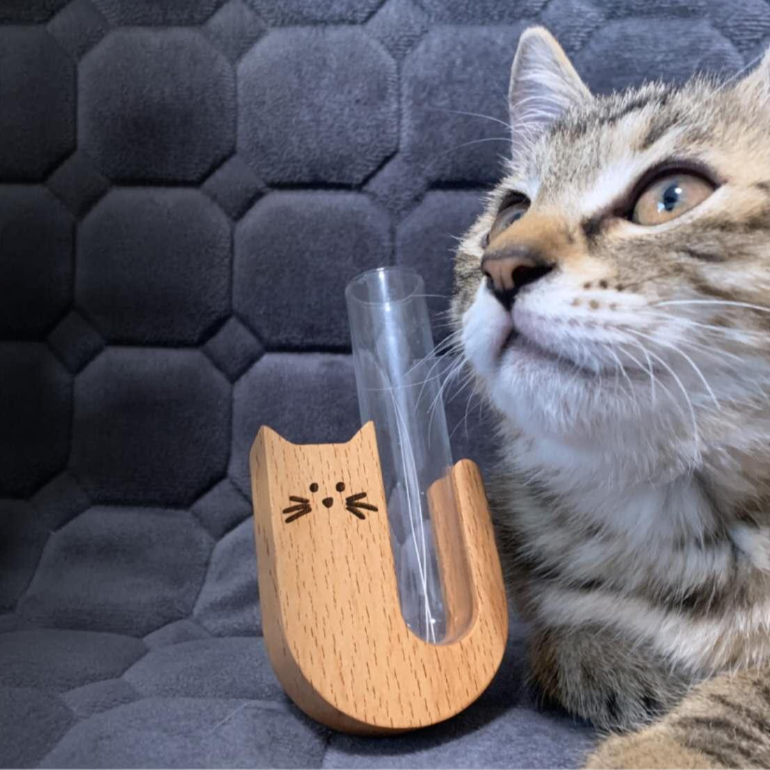 투빈하우스 냥냥이 수염 보관함 우드 케이스 마그넷 10,400원