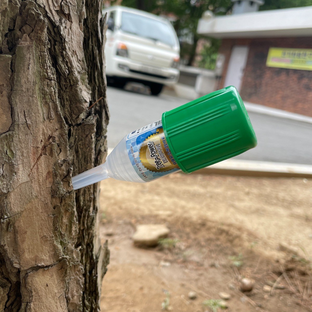 트리파워 수간주사 나무 영양제 5mL X10개 + 목공용 드릴날 5mm, 1개, 50ml 46,940원