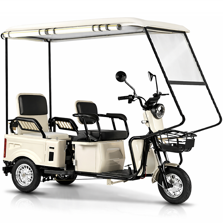아트테크 캐노피 지붕형 화물겸용 전동스쿠터 세발 삼륜 3륜 오토바이 방풍 레인커튼 커버 전기스쿠터 전기 차 쇼핑 노인 장애인 구정 효도 선물 시골 농업 농촌 가정 용 휠체어 대체 2,190,000원