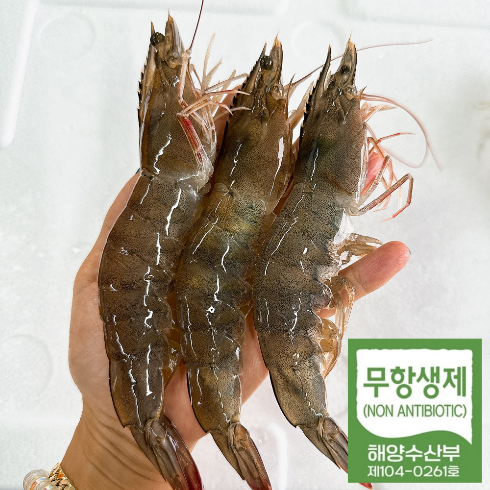 [무항생제] 흰다리 활새우 왕특대 제철 조업 후 급냉 산지직송 1kg(22미내외-냉동), 1세트, 1kg(22미 내외) 냉동 40,300원