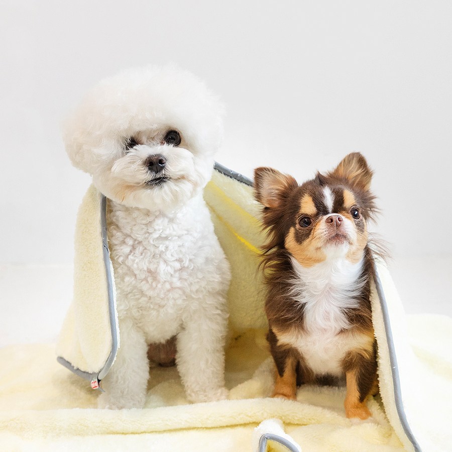 펫타올 초극세사 고양이 강아지 목욕 수건 이태리 마프라펫 25,000원