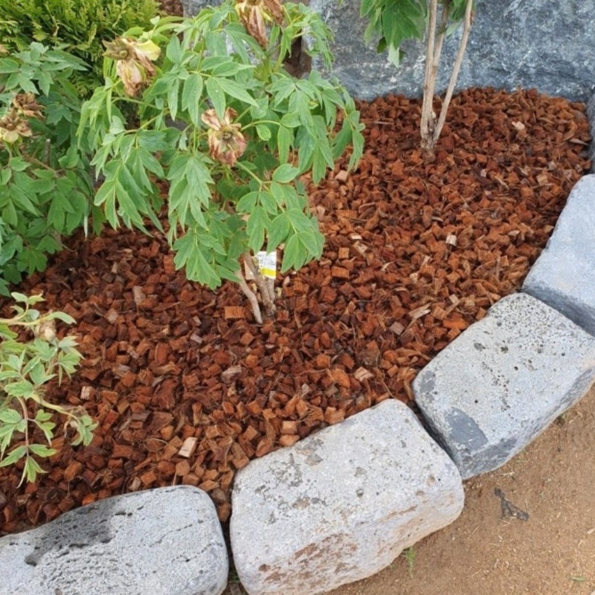 코코칩 코코허스크 12~18mm 멀칭 분갈이흙 파충류바닥재 코코넛칩, 10L, 1개 10,800원