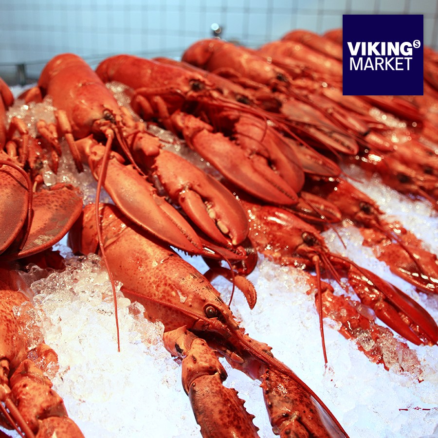 [바이킹마켓][무료배송] 항공 직송 냉동 캐나다 자숙 랍스터 10미 155,000원