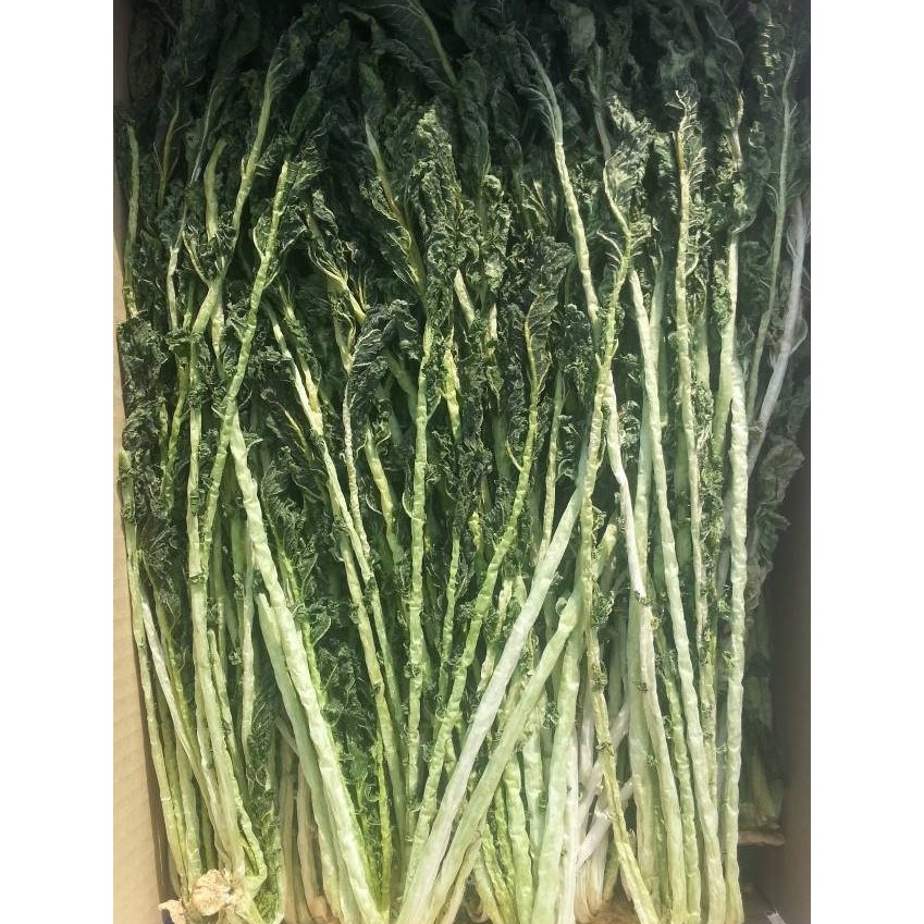 양구 2026년 햇 건시래기 2kg/시래기 /양구시래기 /펀치볼 햇시래기/무청시래기/ 1k*2박스, 2박스 48,410원