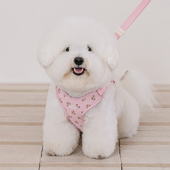 리카리카 반려동물 곰돌이 베베 하네스, 핑크, 1개 43,000원