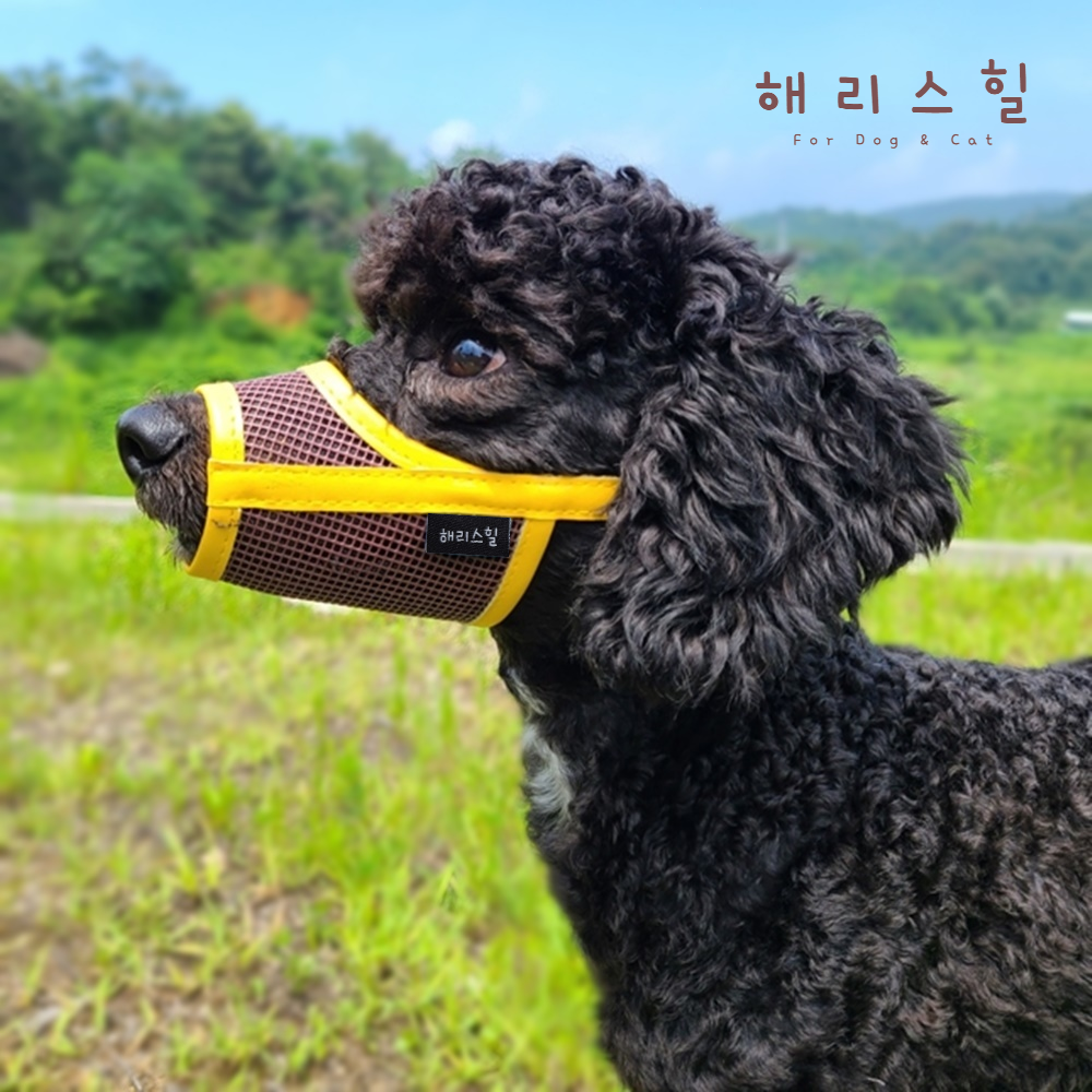 해리스힐 초경량 메쉬 컬러 입마개 S 13,900원