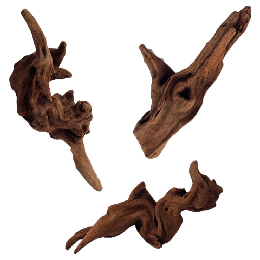 샘아쿠아 리프레쉬 레드 드리프트 유목 3종 세트 6,300원