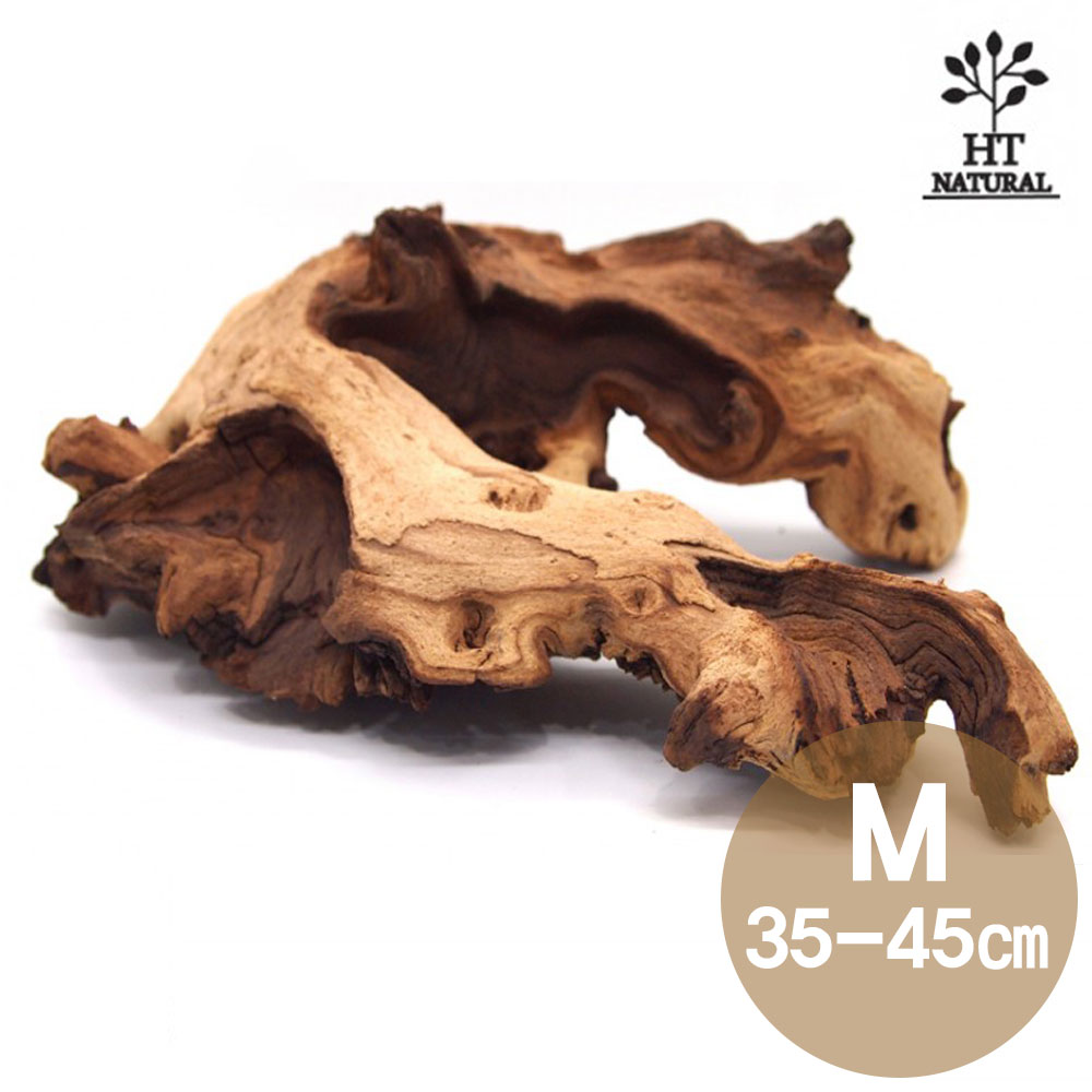 세틀 프리미엄 모파니 투톤 유목 M 30~45cm 모스 나나 부세 활착 우드 16,470원