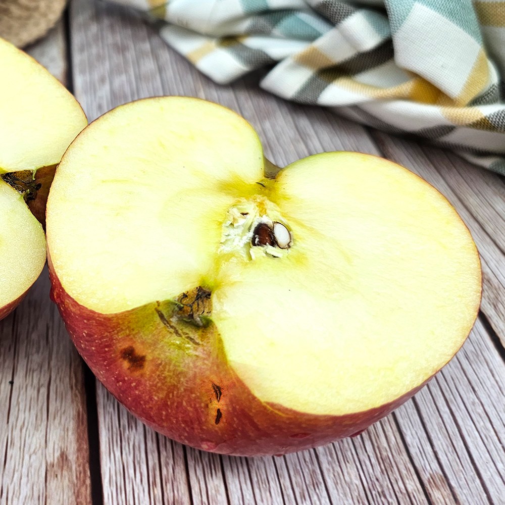 산지직송 새콤달콤 꿀사과 랜덤과 행사용 가정용 사과 부사 13,900원