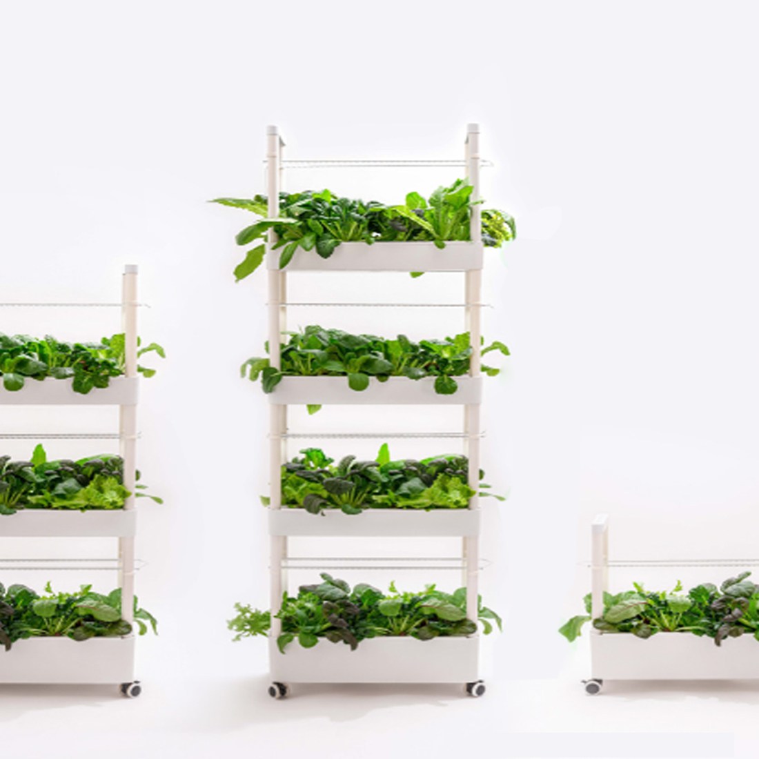 [국산] 집에서 수경재배 상추 샐러드 식물성장 LED 포함 1단 2단 3단 4단 189,000원