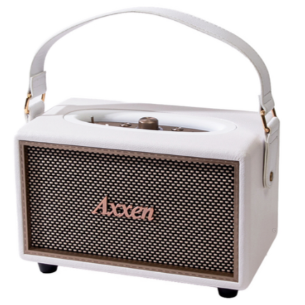 액센 클래식 레더 블루투스 스피커 40W BS1000 148,000원