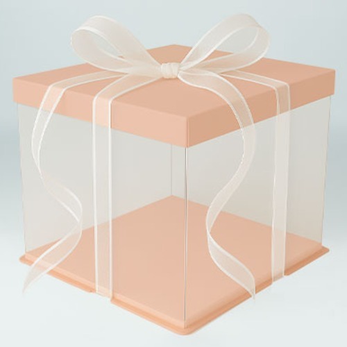천운패키지 2단 투명 케익박스 3호 + 하판 + 리본 세트, 핑크, 랜덤발송(리본), 1세트 6,200원