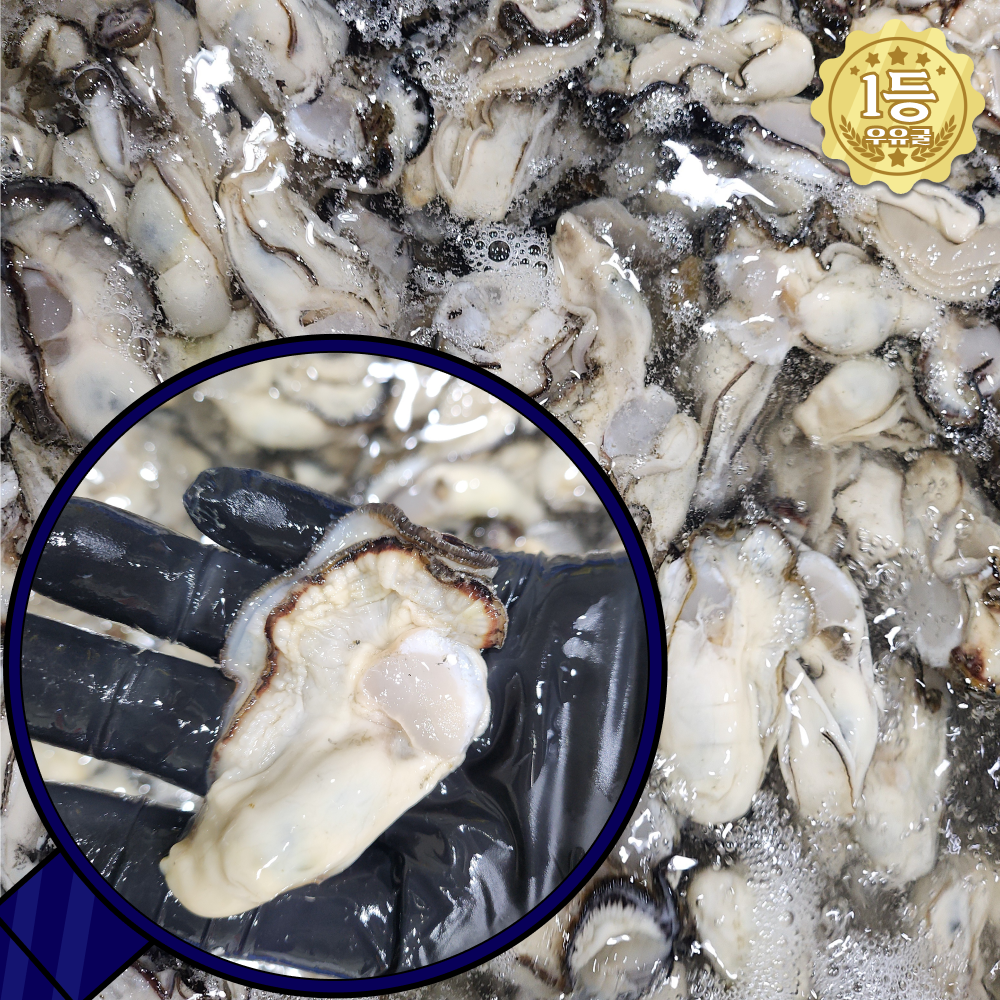 [남해1위청파수산] 최상급 통영 굴 1kg 당일조업 세척 깐굴 생굴, 4세트, 생굴 1kg 37,000원