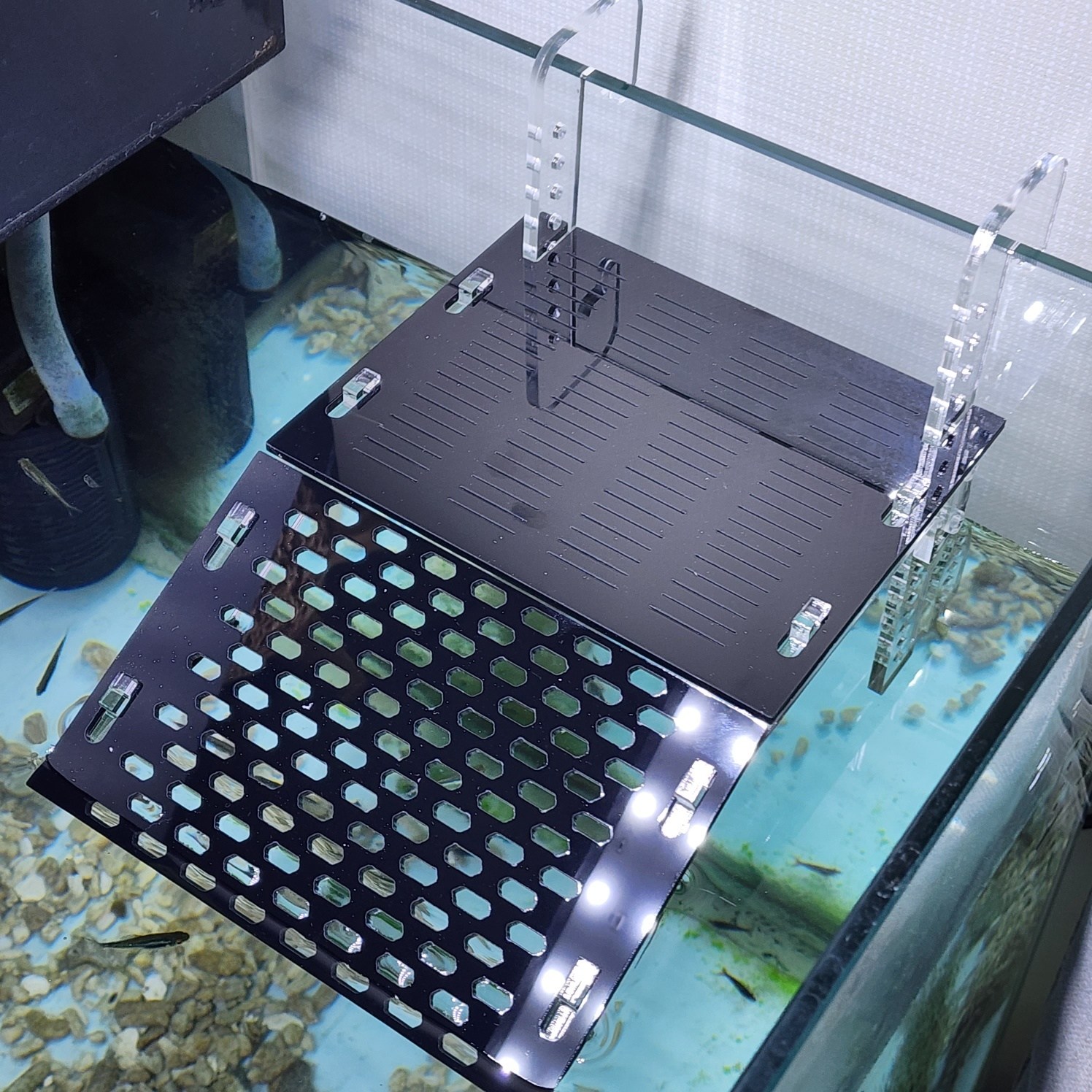 터틀홈 프리미엄 아크릴 거북이 육지 반수생 물거북쉼터 29,900원