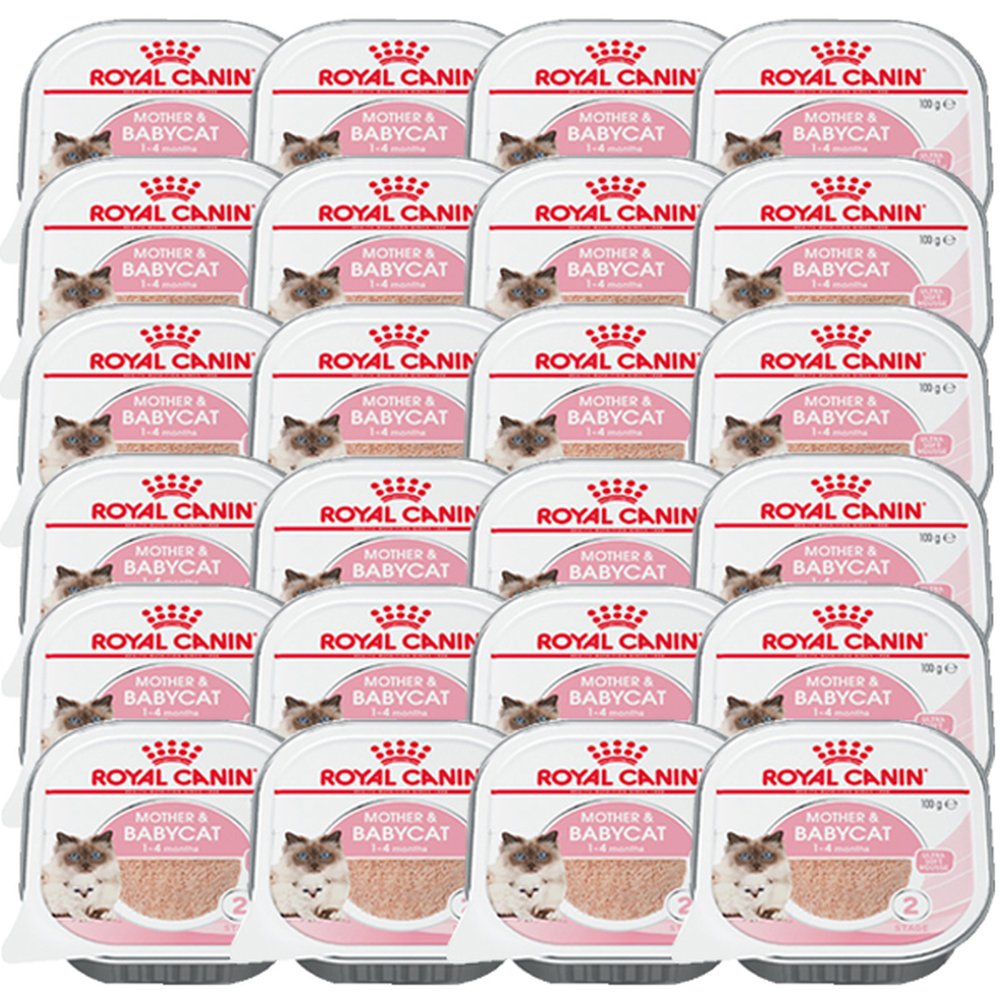 로얄캐닌 마더 앤 베이비 고양이 울트라 소프트 무스 캔 마더앤베이비 100g 24개, 24개, 100g 62,000원
