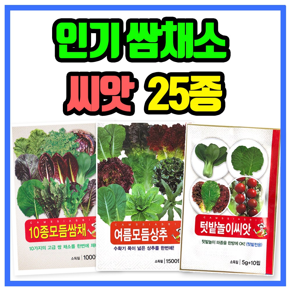 인기 쌈채소 씨앗 3봉 총 25종 (10종모듬쌈채+9종여름모듬상추+6종텃밭놀이) 상추씨 청경채 치커리 씨 종자, 1세트 14,750원