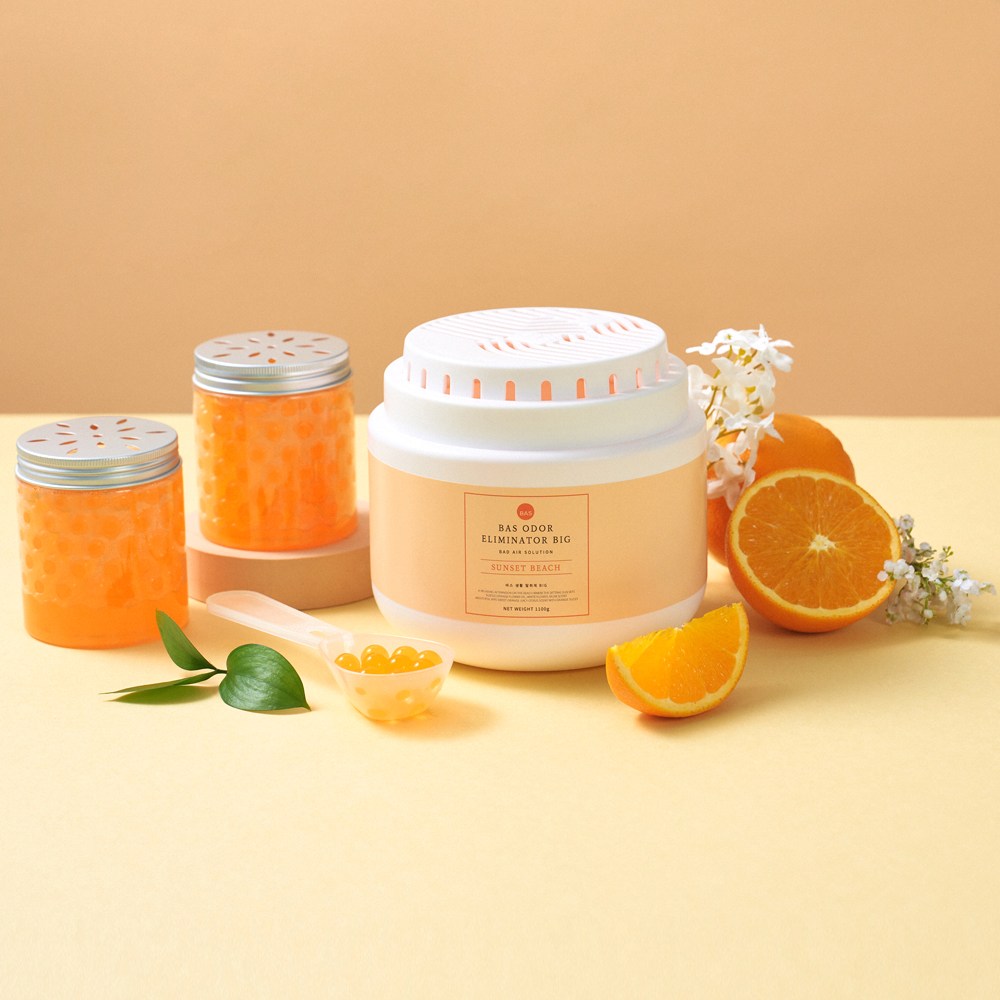 BAS 특대형 실내 탈 취제 빅 (3가지향)_소분용기 포함 28,900원