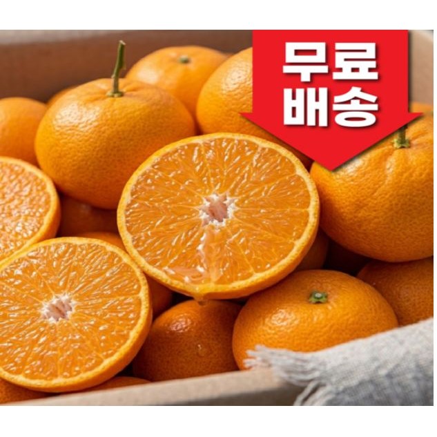 [하루딱80박스] 산지직송 고당도 14brix 제주 천혜향 18,900원