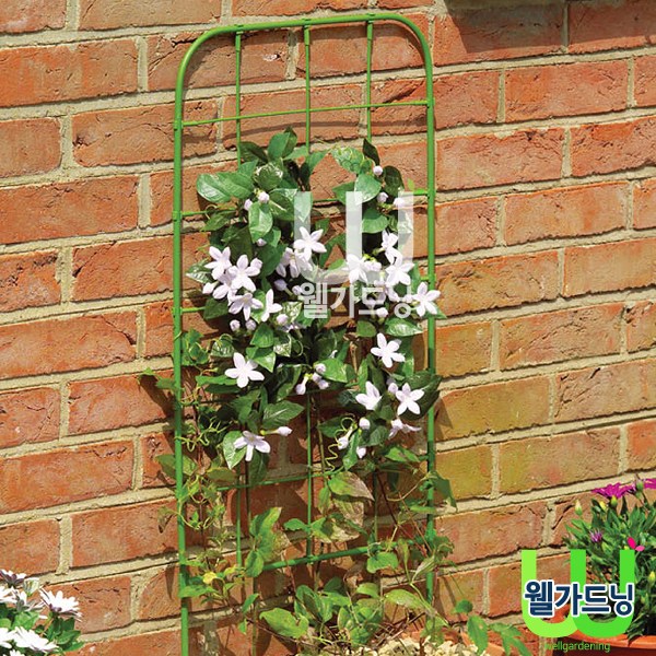 조이가든센터 플라워 스크린- FS60 2,000원