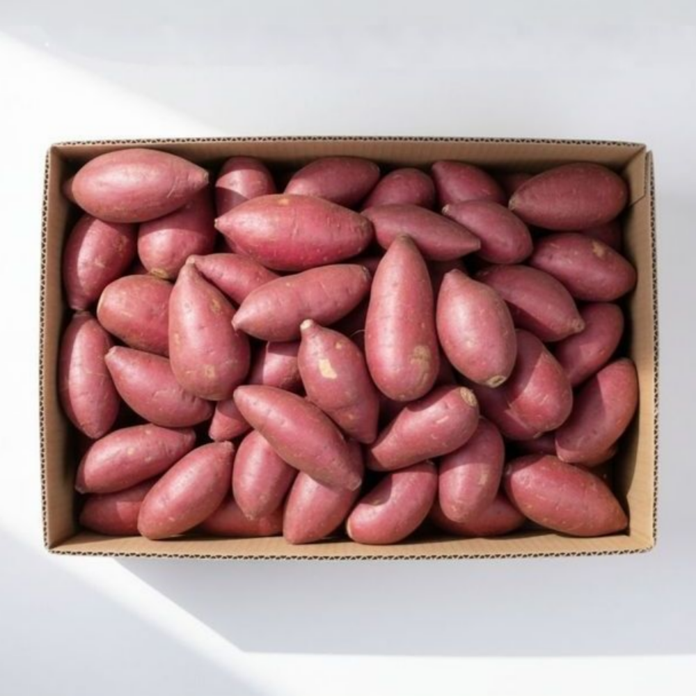 프리미엄 세척 꿀고구마 해남, 1박스, 한입 2kg 9,900원