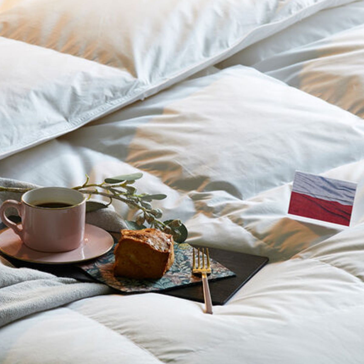 헬렌스타인 [헬렌스타인] 엑스트라웜 폴스카 구스 이불 S/SS 892,000원