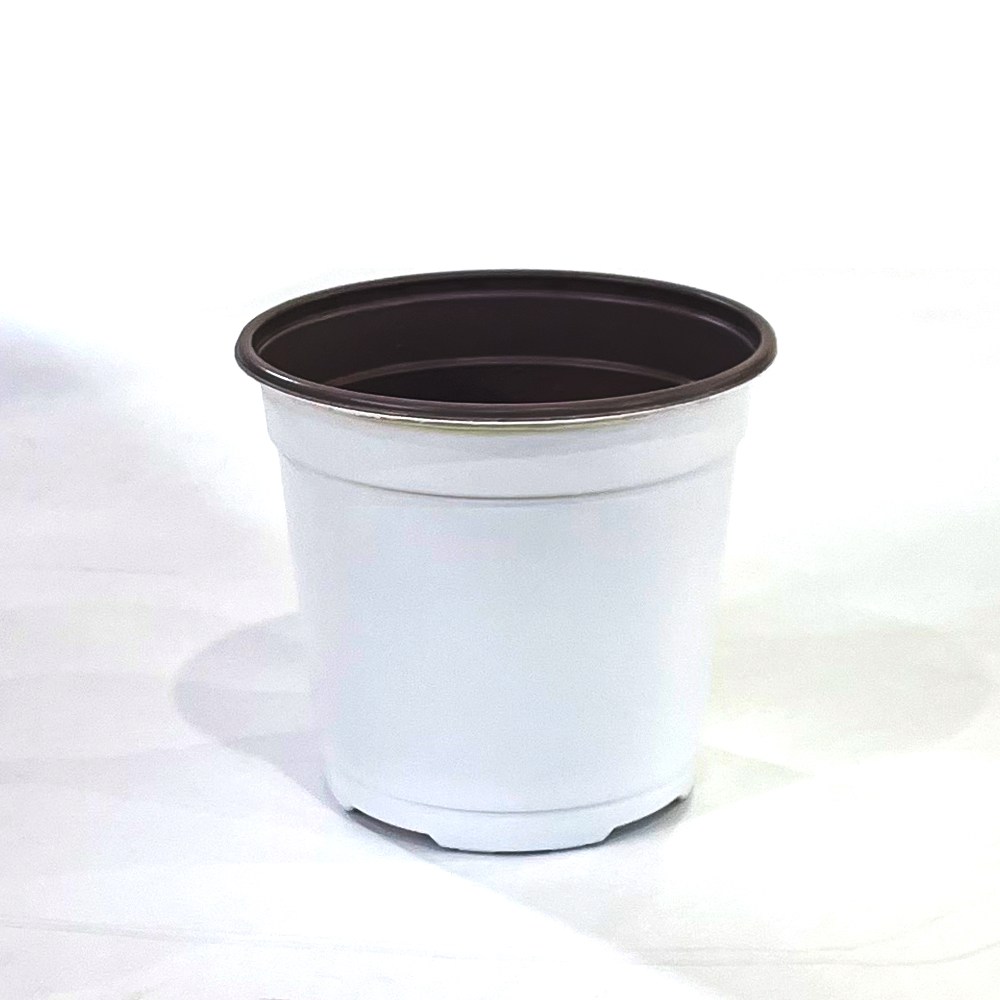 이색포트(흰색)120 비닐포트 모종화분 소형화분 미니화분 216,000원