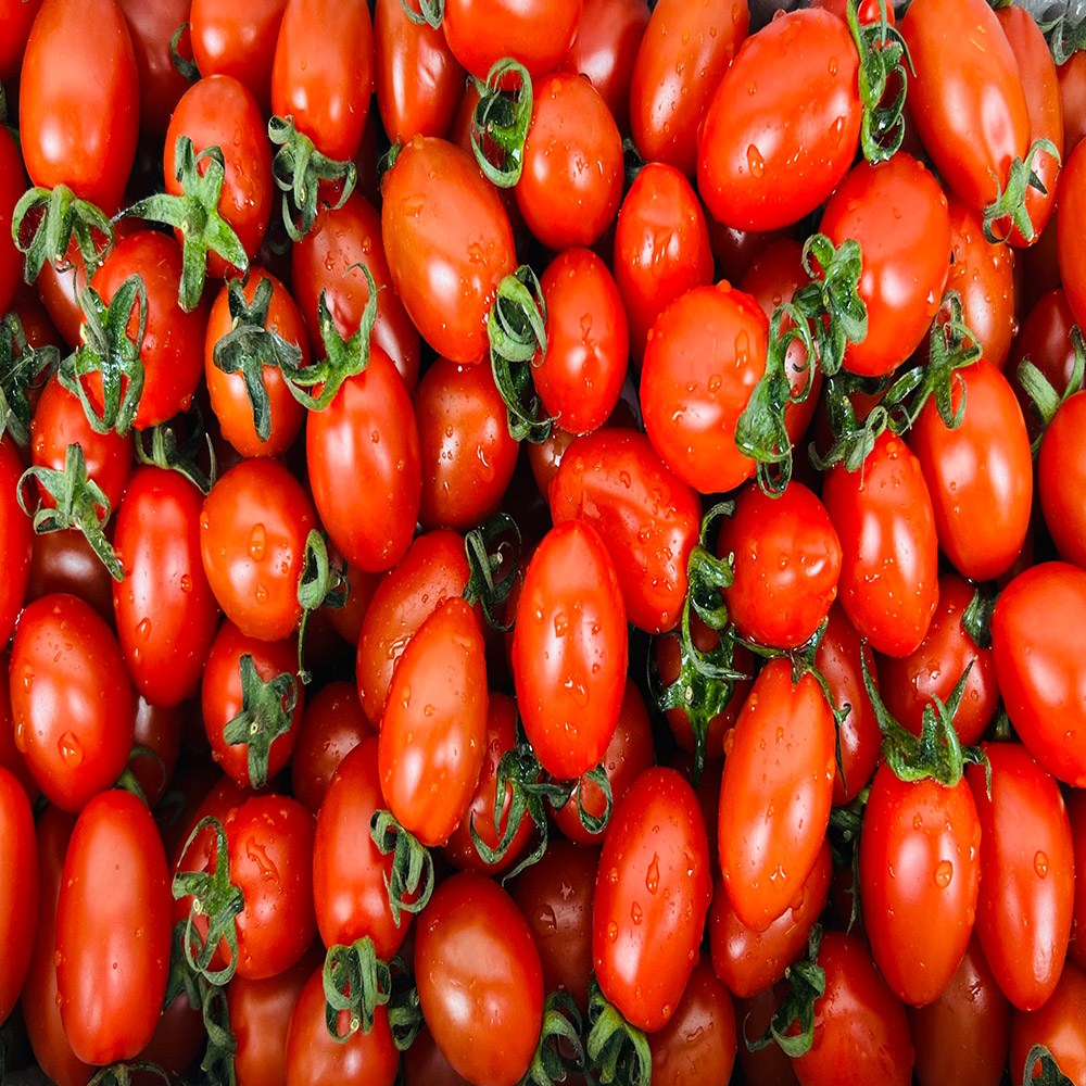 스마일프레쉬 싱싱한 대추 방울토마토, 1개, 대추방울토마토 5kg(4-5번과 소과) 33,980원