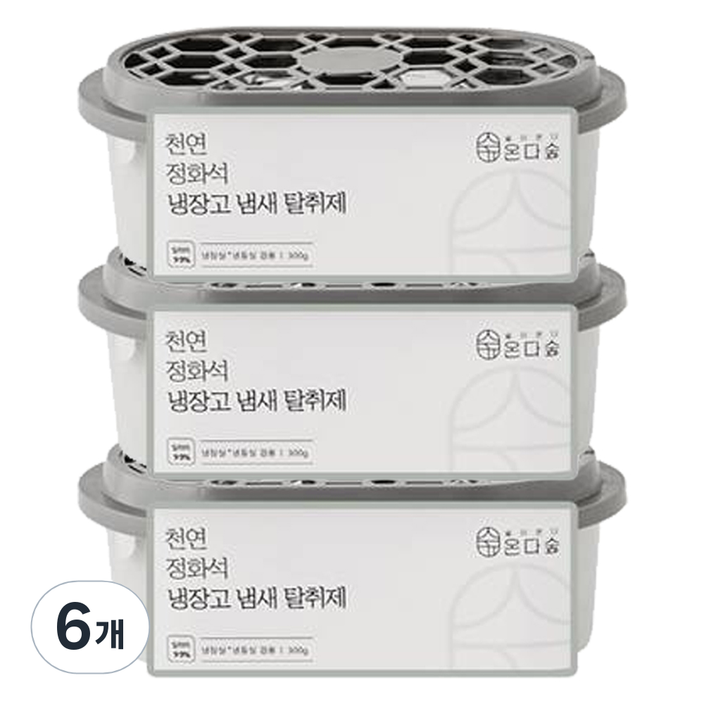온다숲 반영구 강력한 냉장고탈취제, 300g, 6개 29,540원