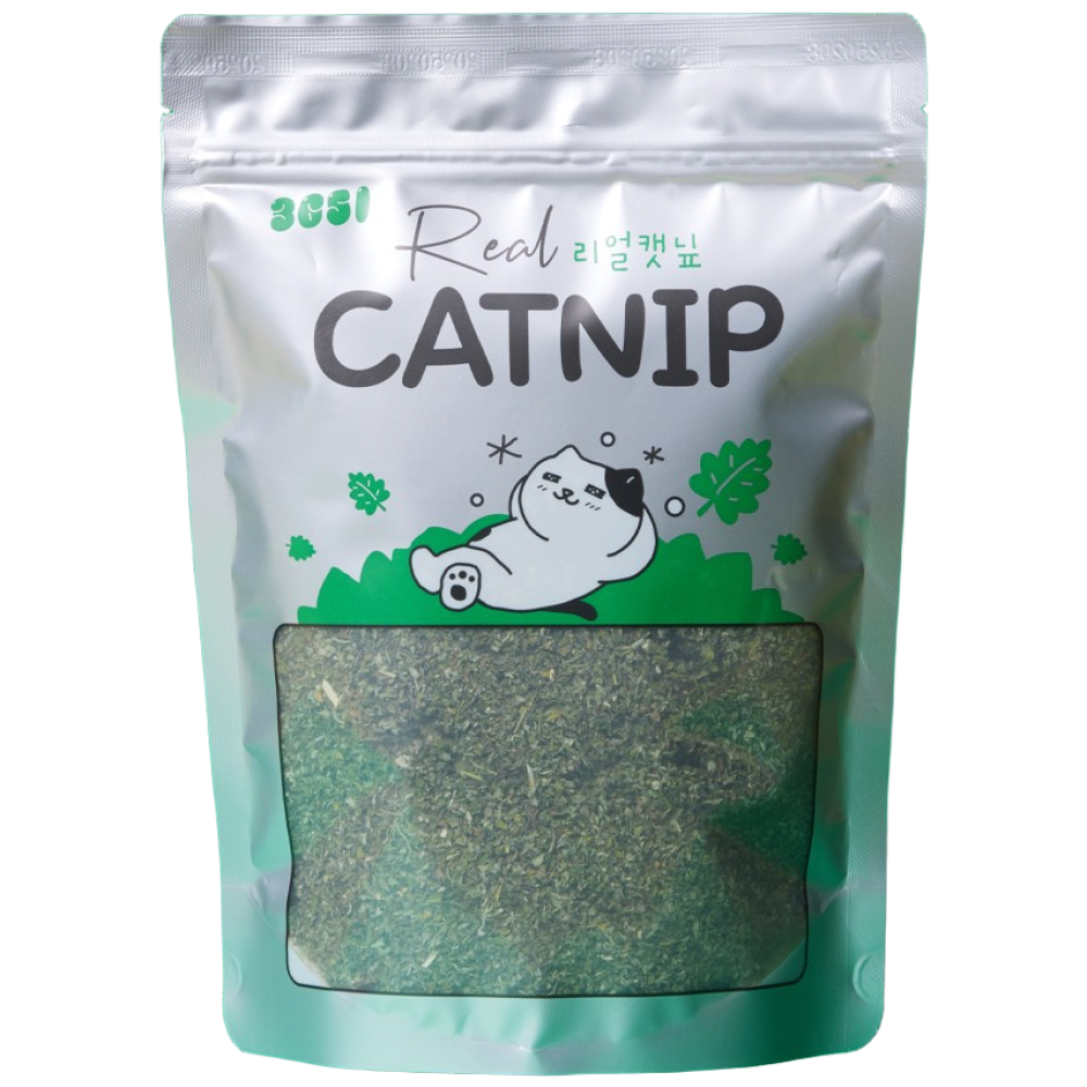 3651 리얼캣닢 고양이 캣그라스 대용량 9,900원