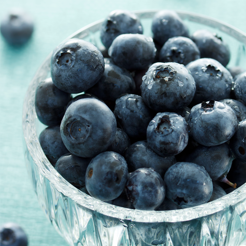 국산 생블루베리 블루베리 생과 특과 16mm, 4개 30,800원