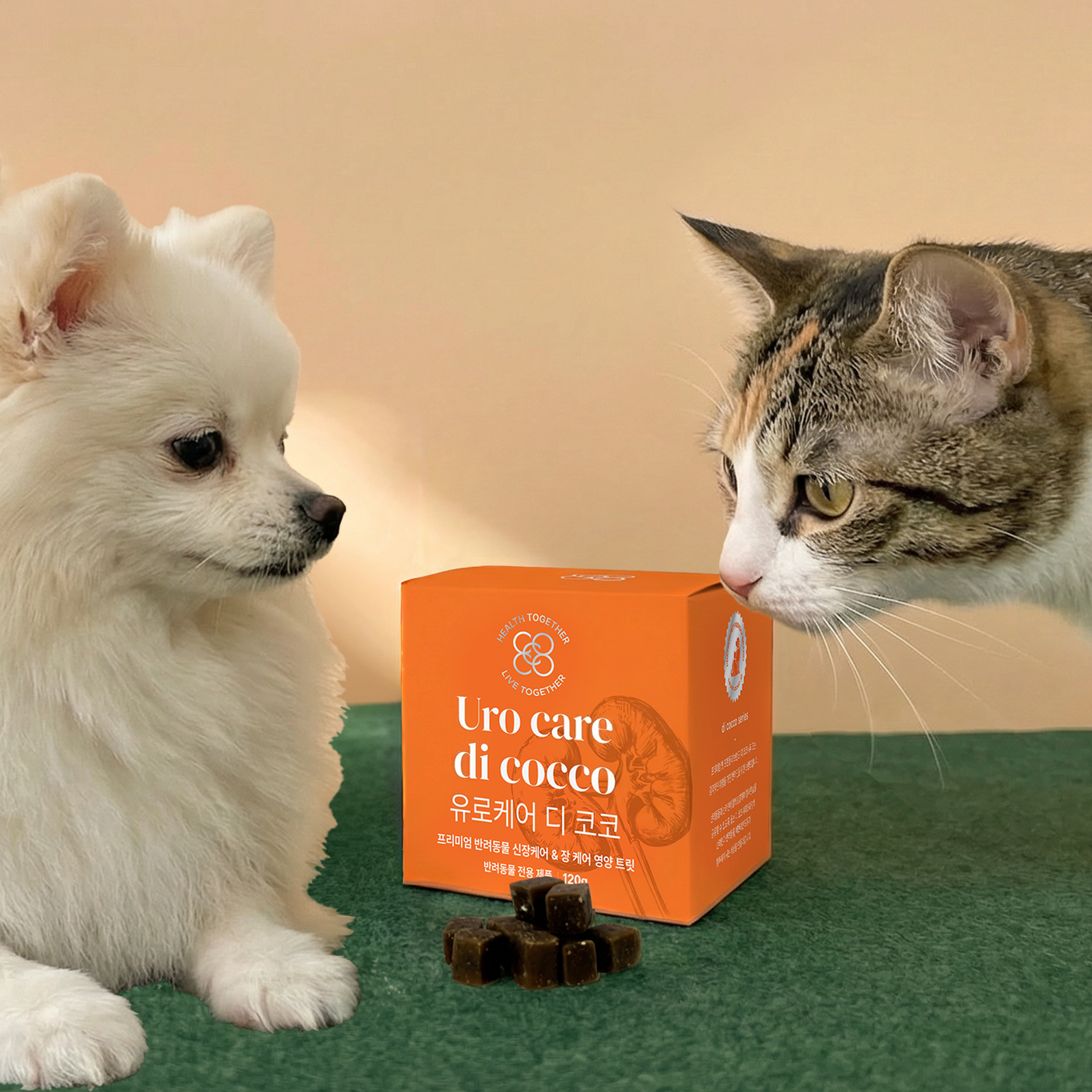 유로케어디코코(키드니케어디코코 신 리뉴얼) 강아지 고양이 신부전 관리 독소 배출 안심 반려동물 케어 콩팥 영양제 120g, 1세트, 신장, 120정 53,000원