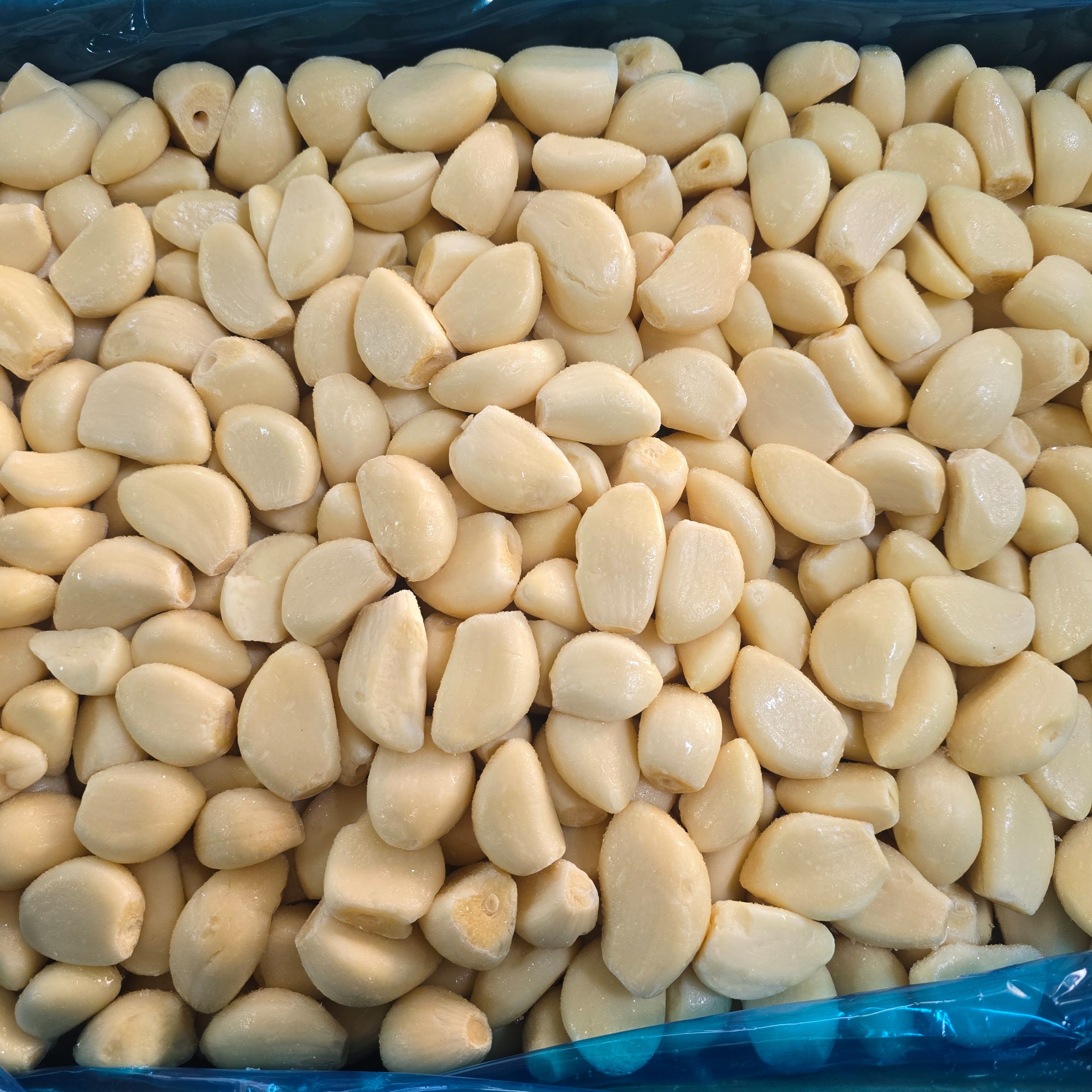 냉동알마늘 마늘 깐마늘 알마늘 중국산 냉동마늘 업소용 식당용 꼭지제거, 1박스, 10kg, 현재가 30,900원