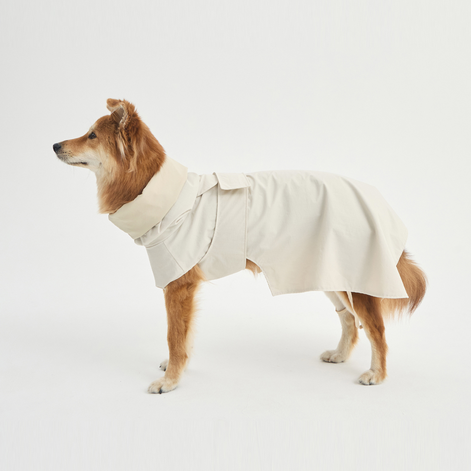 멀리 강아지 디 마르코 방수 레인코트 47,200원