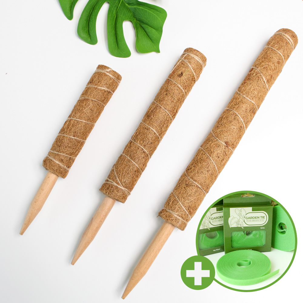 세경팜 코코넛 원목 수태봉 코팅처리 연결형 몬스테라 수태봉 식물지주대 11,000원