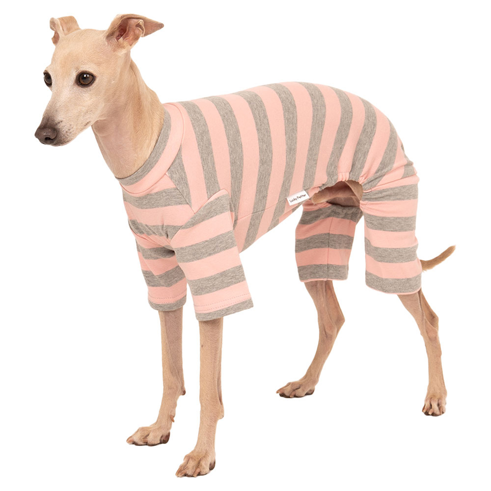 럭키페터 반려동물 베이직 스트라이프 올인원 아이쥐옷 26,900원