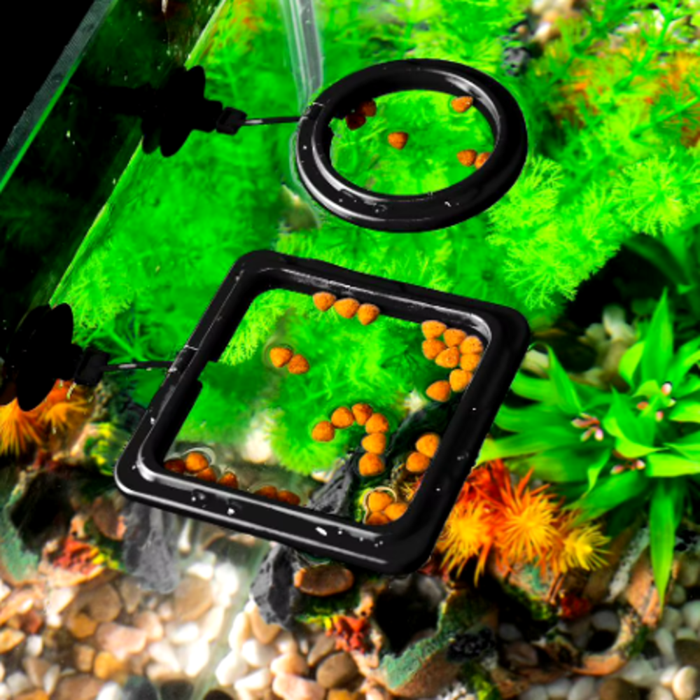 미쁘다 어항피딩링 피딩컵 피딩링 물고기 먹이 피딩링, 1개 6,900원