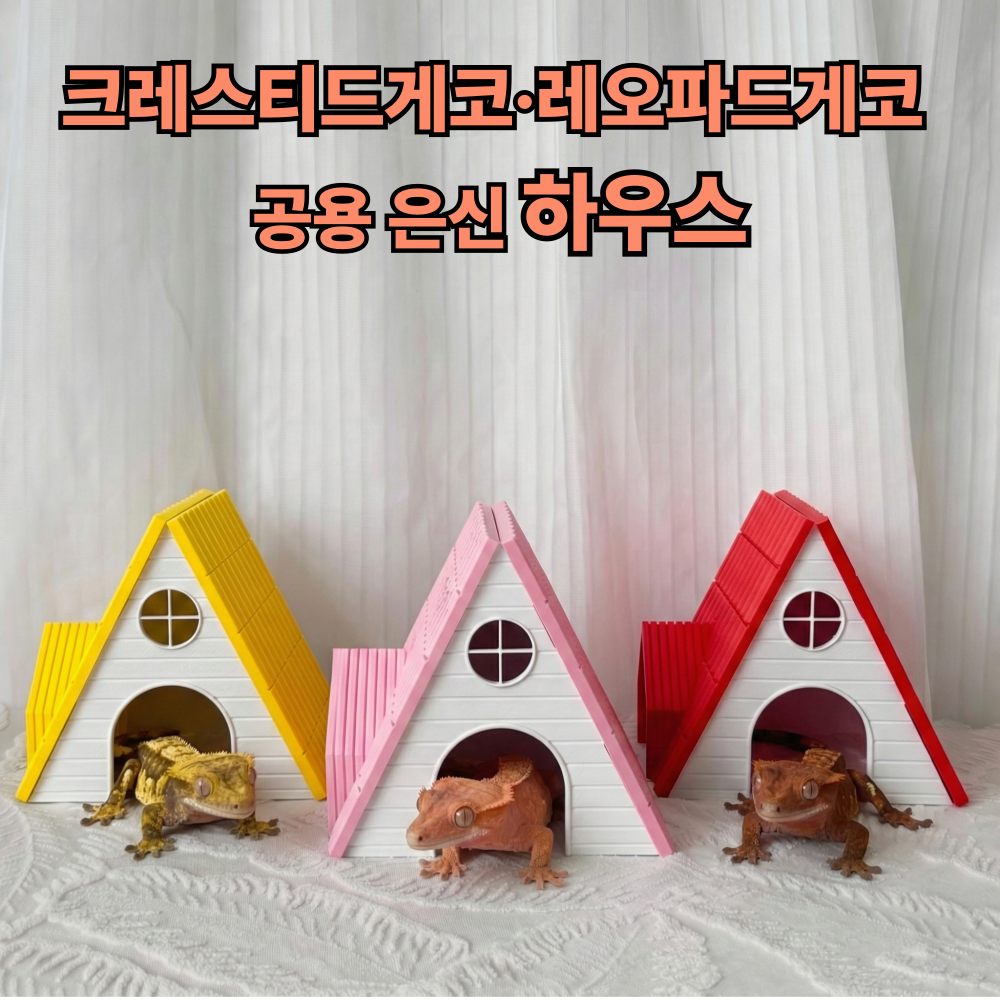 보물찾기 크레 크레스티드게코 레오파드게코 파충류 전용 은신처 하우스 도마뱀 용품 PLA 친환경소재, 1개, 분홍 14,900원