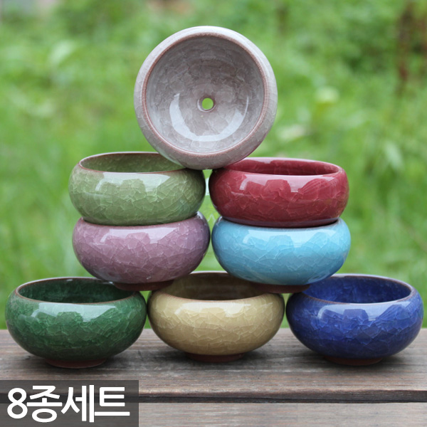 세인화분 예쁜 미니 다육이 선인장 화분 8P 세트 - 콩분 다육 미니 균열 유약 인테리어 사무실 책상 9,800원