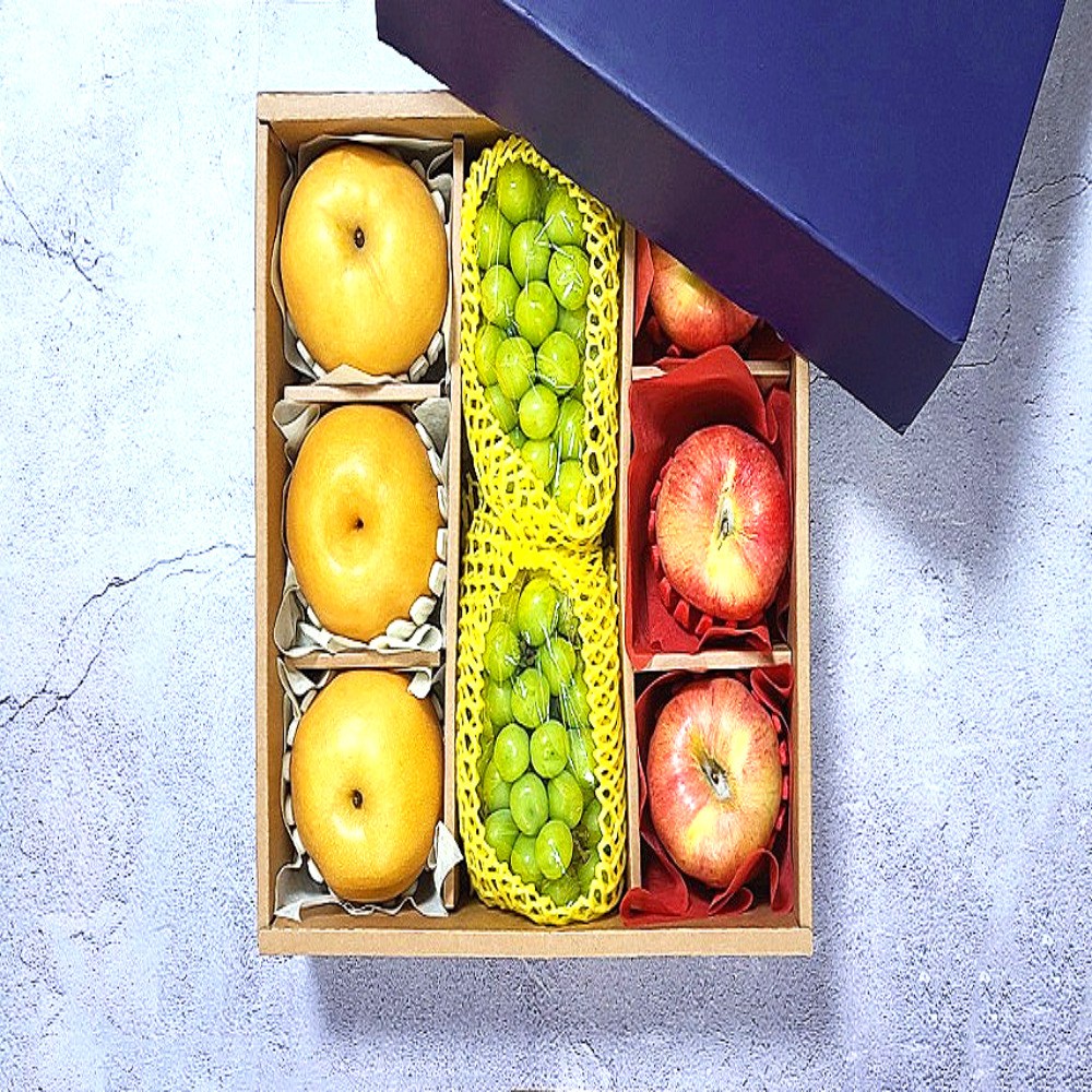 땡구네밥상 프리미엄 제철과일 혼합 고급 과일선물세트 고당도 사과배 + 샤인머스켓 선물포장 명절 추석 설 선물, 1세트 98,900원