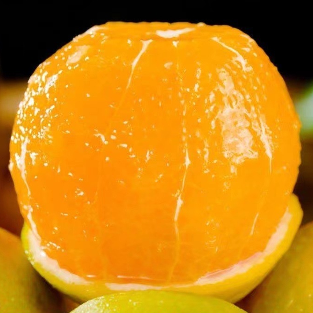 [달보드레농원] 상큼달콤 고당도 타이벡감귤 꿀당도brix 24,600원