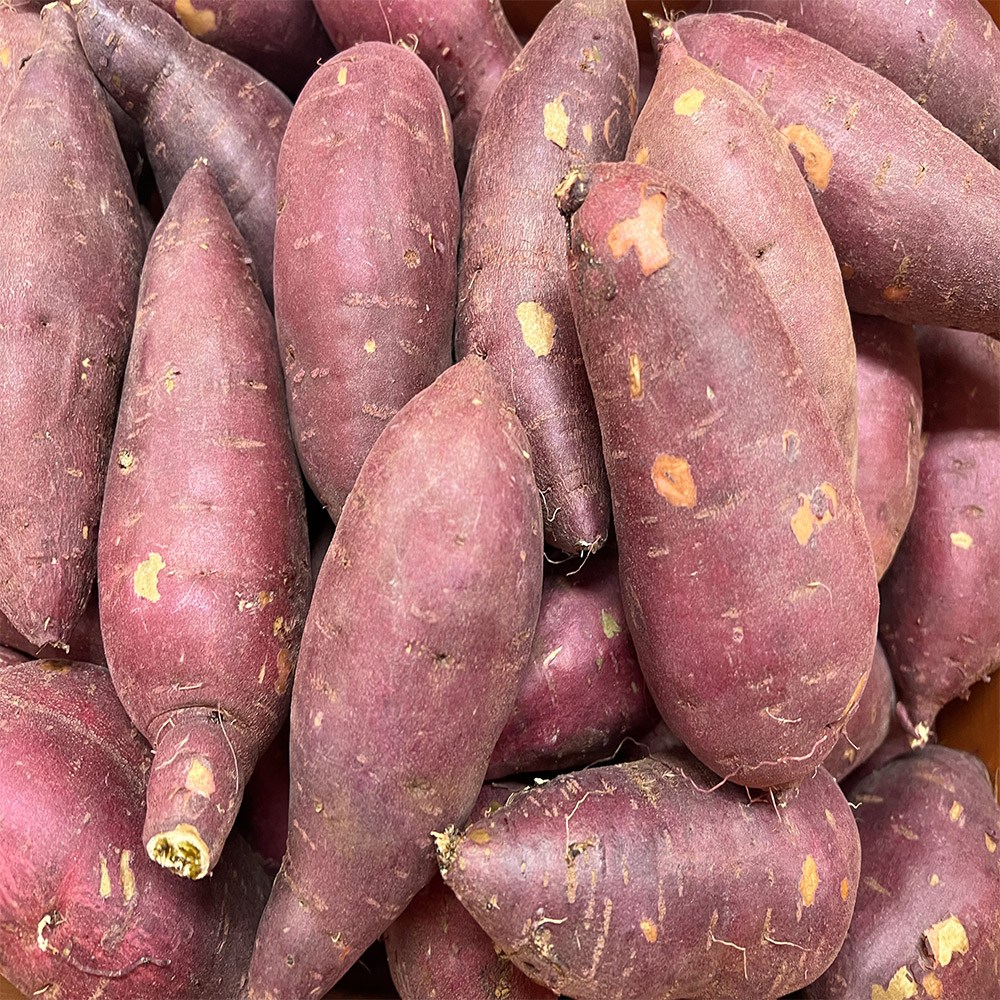 농부곳간 토울고구마 유기농 고구마 베니하루카 세척고구마 꿀고구마 호박고구마, 1개 57,900원