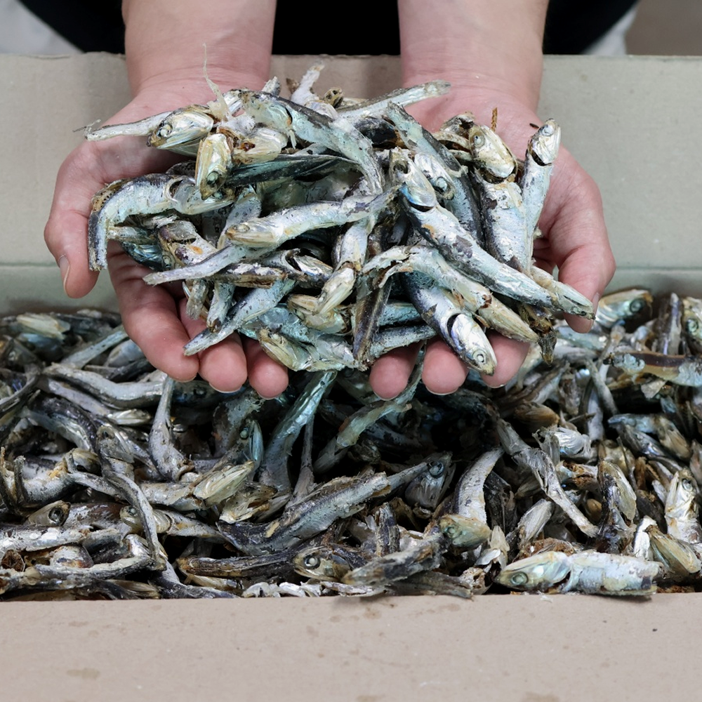 [품질보장] 청정바다를 담은 100%국내산 최상급 해날 햇 다시멸치 1.5kg 79,900원