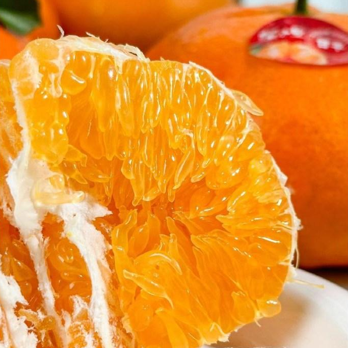 [레드향] 알이톡톡씹히는 단맛끝판왕 레드향 꿀당도brix 30,900원