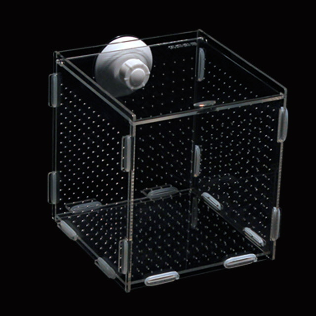 아마존피쉬 zoog 격리통 부착형 10 7,200원