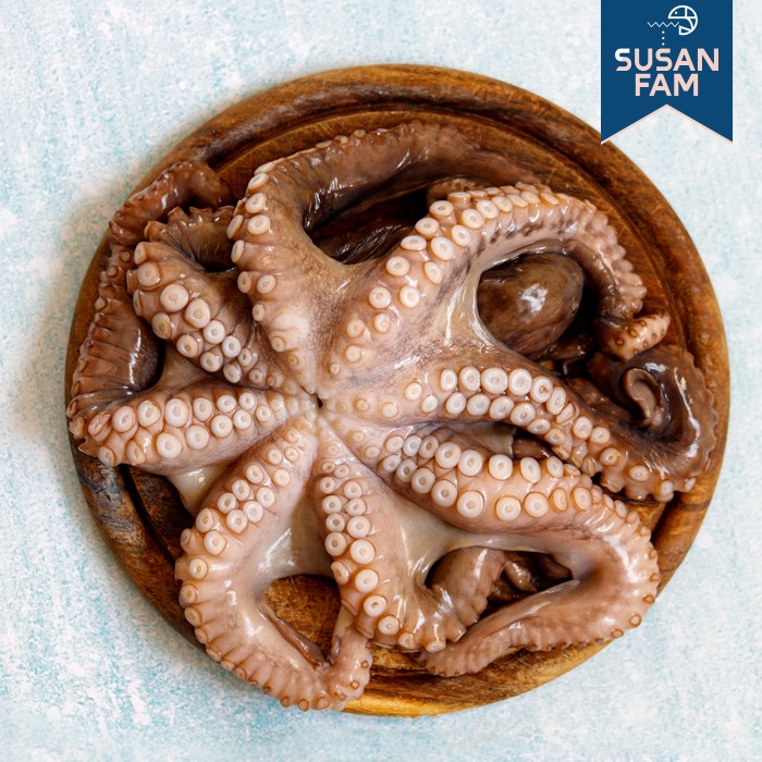 세척문어 5kg 손질 냉동문어 생문어 돌문어 참문어 모리타니아 세네갈 122,000원