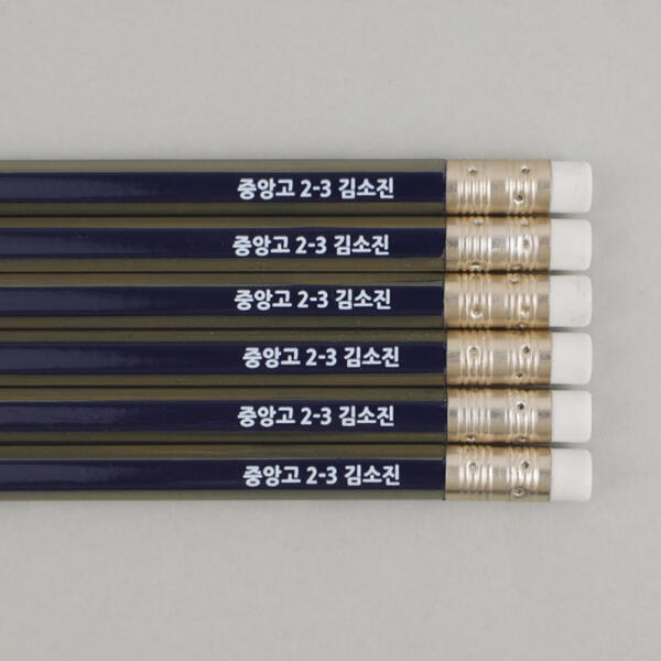 아트박스/디자인아지트 [주문제작]네임연필2B 6자루파버카스텔_골드 6,200원