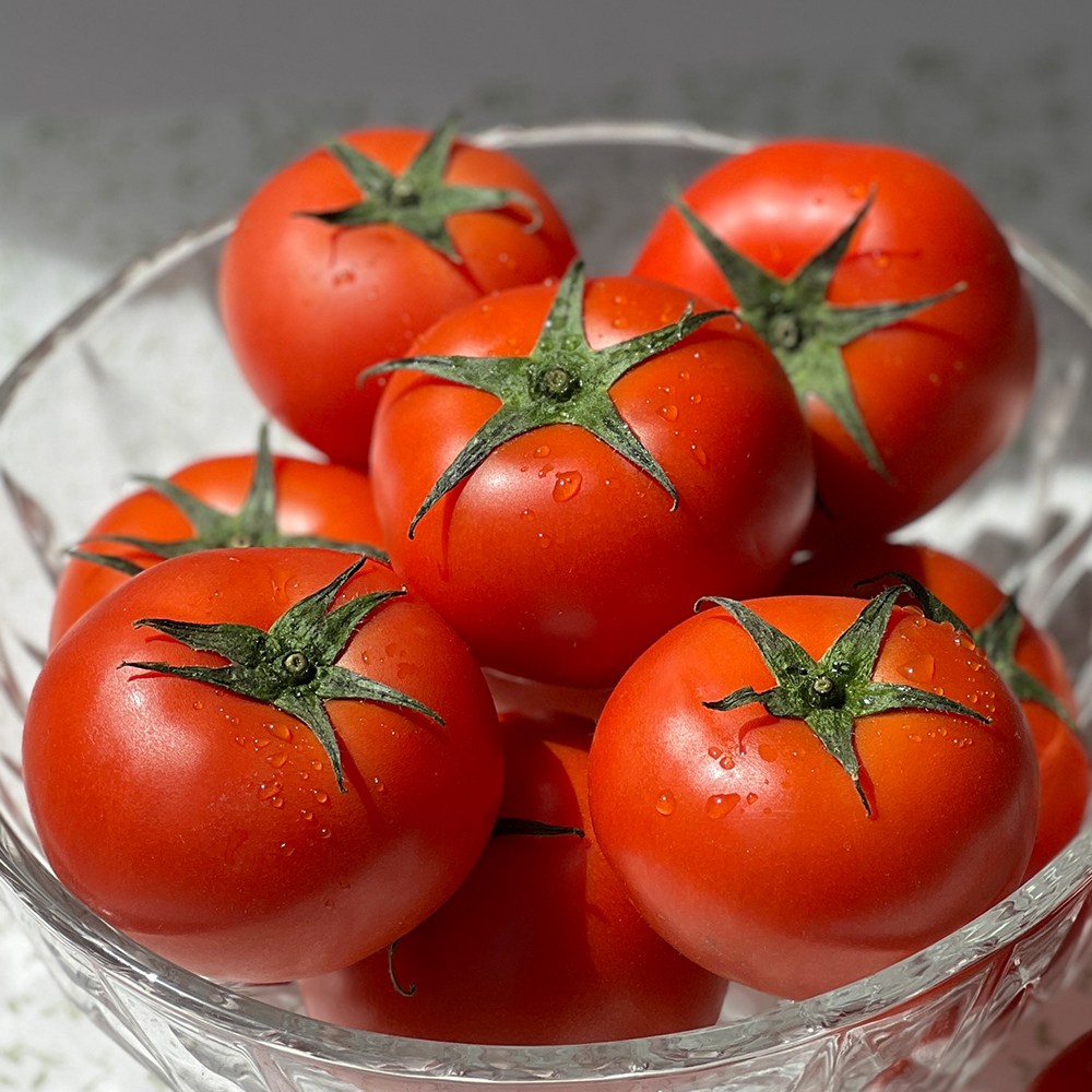 고품질 달다팜 싱싱한 완숙 토마토 27,500원