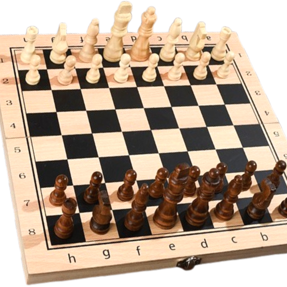 다실 두뇌훈련 체스 체커 세트, 1개, 베이지 20,000원