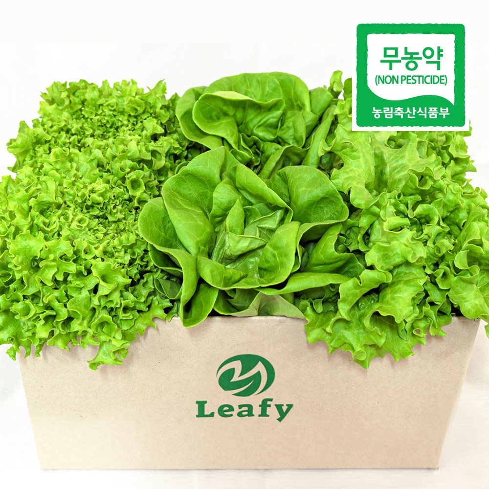 당일수확 산지직송 유럽 상추 3종~8종 무농약 프리미엄 샐러드용 채소 / 리피 16,900원