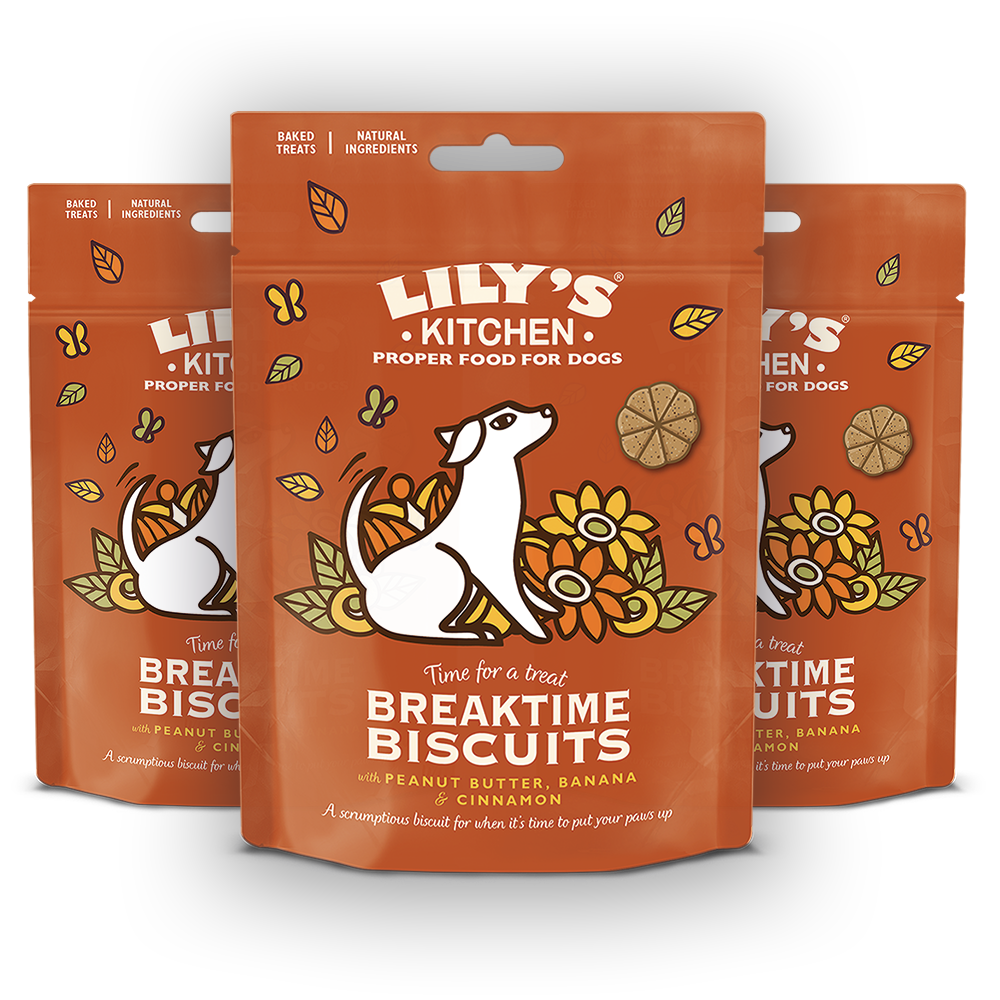 LK 릴리스키친 브레이크타임 비스켓 강아지 간식 3팩 세트, 240g, 1세트 25,000원